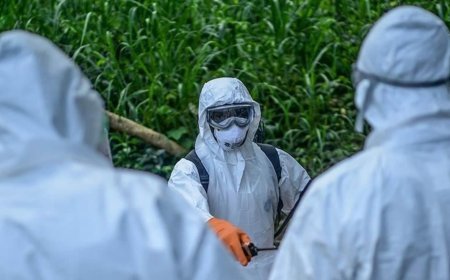 Ölü sayısı 139'a ulaştı, virüs giderek yayılıyor! Ebola krizi büyüyor