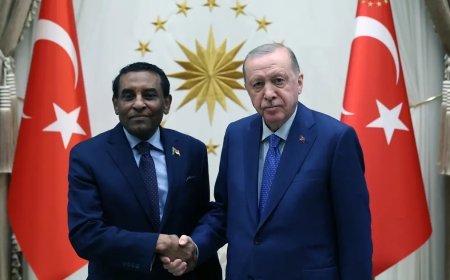 Cumhurbaşkanı Erdoğan, Sudan Başbakanı İdris'i kabul etti