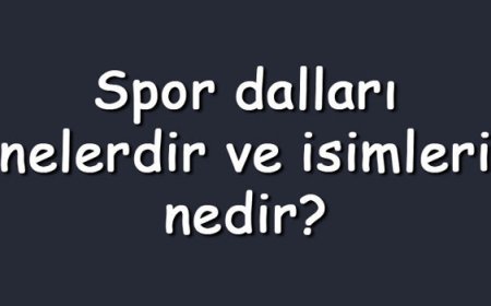 Spor dalları nelerdir ve isimleri nedir? Az bilinen, olimpik, ekstrem ve geleneksel sporlar