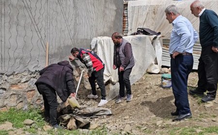 3 metrelik yılan mahalleyi korkuttu. Belediye ekipleri müdahale etti