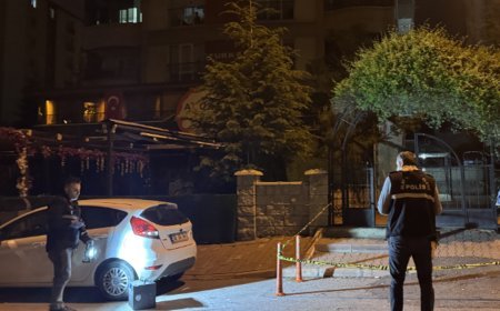 Darp edilen kadını kurtarmaya çalışan kardeşler bıçaklandı