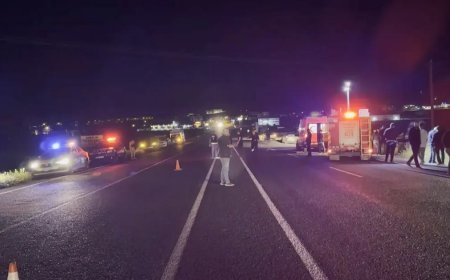Domuza çarpıp devrilen araçta 5 kişi yaralandı