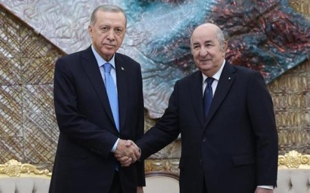 Cumhurbaşkanı Erdoğan Cezayir Cumhurbaşkanı Tebbun ile görüştü!