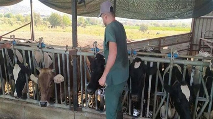 Aydın’da 17 mahallede karantina tedbirleri alındı! Hayvan giriş çıkışı yasak