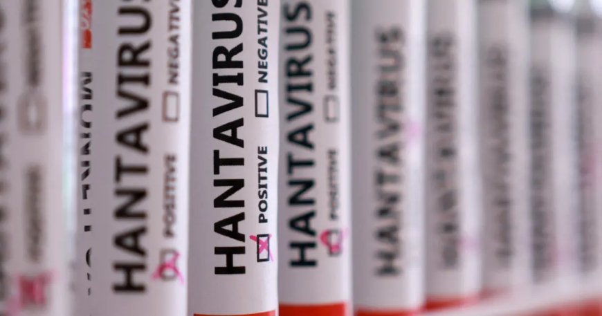 Türkiye'de hantavirüs vakası var mı? Sağlık Bakanlığı'ndan açıklama