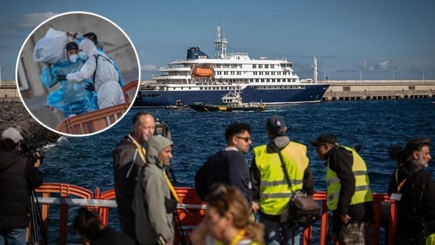 Hantavirüs eski komplo teorilerini geri getirdi! 6 soru 6 cevap: 'Yeni' değil, gizemli değil, D vitamini geçirmiyor...
