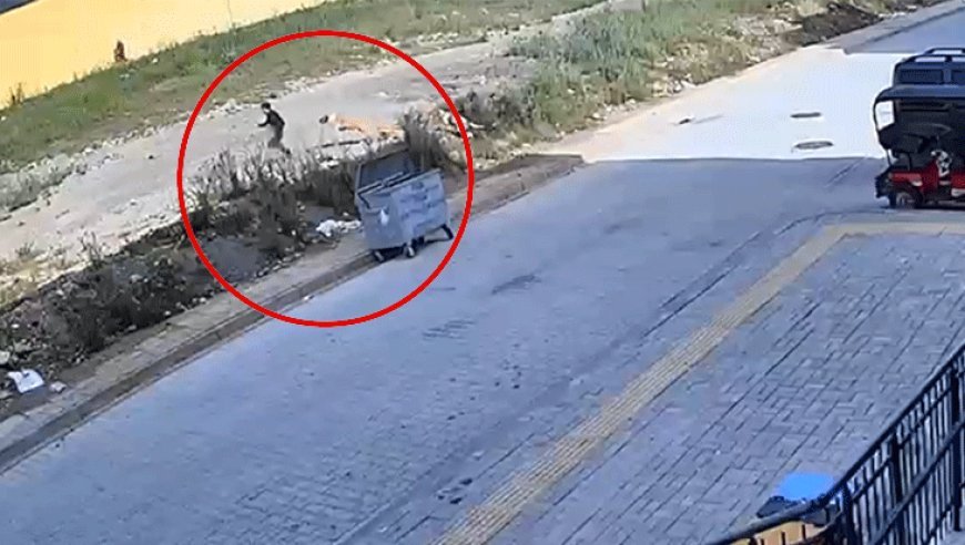 7 yaşındaki Yiğit’in korku dolu anları kamerada! Sokak köpekleri kovaladı: Geceleri ağlayarak uyanıyor