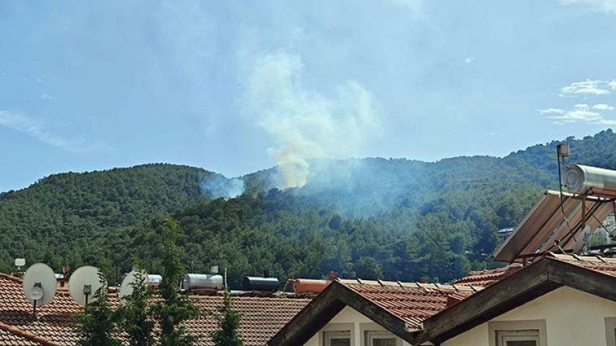 Muğla'da orman yangını