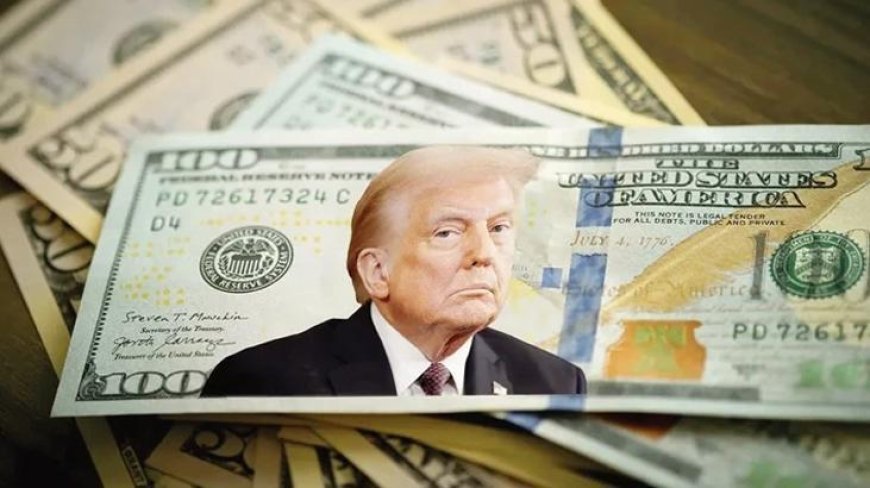 DÜNYA HABERLERİ: 250 dolarlık banknotlara Trump resmi! ABD bu iddiayla çalkalanıyor