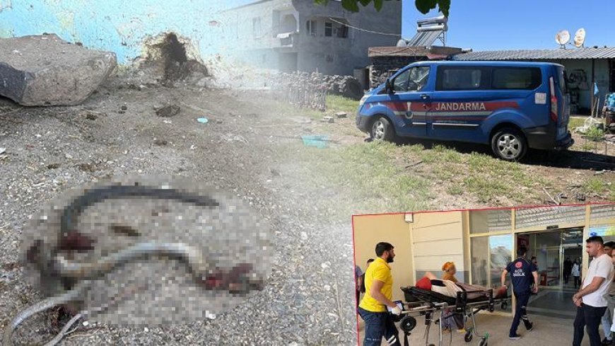Şanlıurfa'da akılalmaz olay! Yılana ateş etti, 5 kişiyi vurdu
