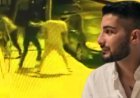 Yusuf'u nişanlısının yanında öldürdüler