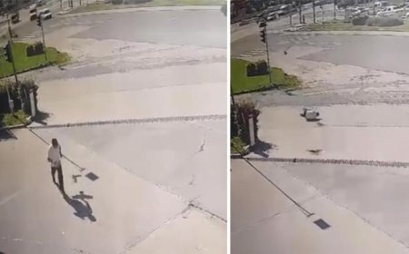 Elazığ’da ilginç anlar kameraya yansıdı! Kargadan kaçarken taklalar attı