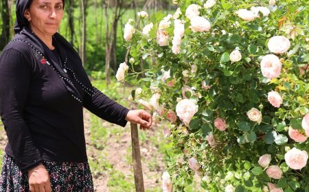 Muhtarın vefatının ardından görevi eşi devraldı; kadınların desteğiyle seçimi kazandı