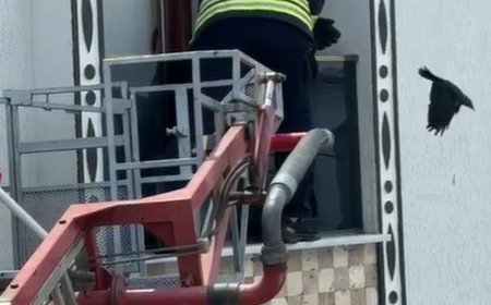 Balkonda sıkışan kargayı itfaiye kurtardı
