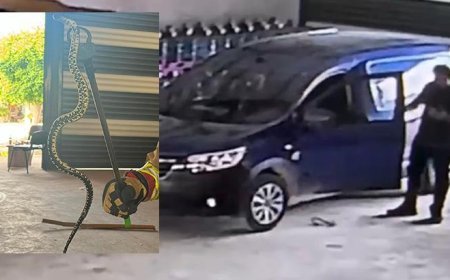 Yer: Hatay! Hafif ticari araca giren yılan paniğe neden oldu