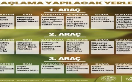 SARAY BELEDİYESİ SİVRİSİNEKLE MÜCADELEYİ HIZ KESMEDEN SÜRDÜRÜYOR