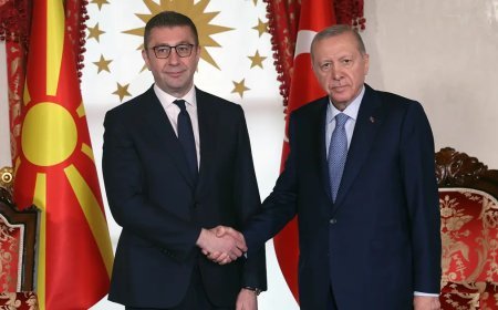 Cumhurbaşkanı Erdoğan, Kuzey Makedonya Başbakanı Mickoski'yi kabul etti