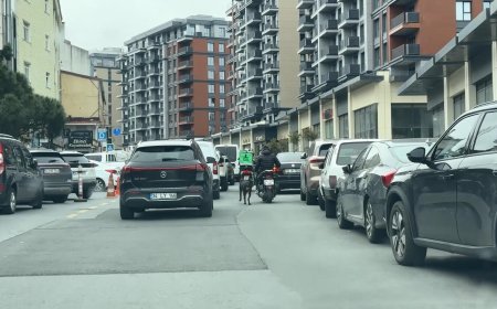 İstanbul'da dehşete düşüren görüntü! Motosiklete bağladığı köpeği metrelerce koşturdu
