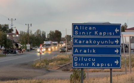 Alican Sınır Kapısı'nda hareketlilik! Ermenistan'dan gönderildi, Türkiye'ye giriş yaptı