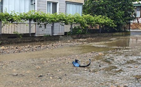Ordu'da hayat durdu! Sağanak nedeniyle dakikalar içinde sokaklar göle döndü
