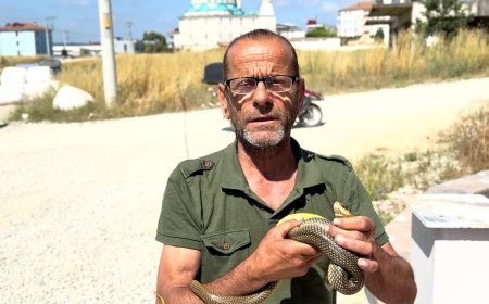 Sakarya’da yılan görünce tek bir isim akıllara geliyor! Çıplak elleriyle yakalayıp doğaya bırakıyor