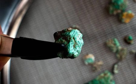 Mağarada çocuğa ait diş ve parmak kemikleri bulundu! Dağların tepesindeki sır