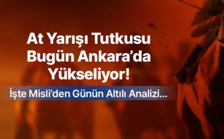 At Yarışı Tutkusu Bugün Ankara’da Yükseliyor! İşte Misli’den Günün Altılı Analizi…