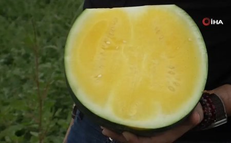 Bu karpuzu görenler hayrete düşüyor: kabuğu yeşil, içi sarı