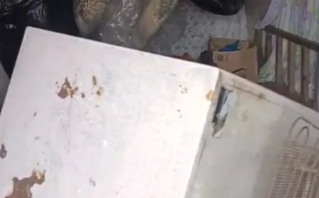 Bir günde 20 eve girdi, yayla sakinlerini canından bezdirdi