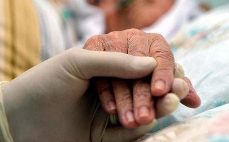 Yeni dönem resmen başladı! Evde Sağlık ve Palyatif Bakım Yönetmeliği yürürlüğe girdi: Hangi hizmetler evde verilecek?