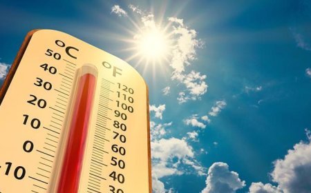 Avrupa sıcaktan kavruluyor! Can kaybı artıyor: Alarm verildi