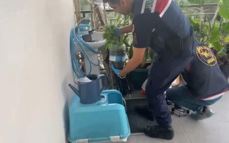 Jandarmadan zehir tacirlerine darbe! 5 ilde 'uyuşturucu' operasyonu: 341 gözaltı