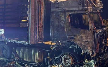 Cizre’de seyir halinde tır alev alev yandı