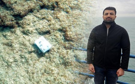 Denizden çıkarıp sosyal medyada paylaştı: Peşini bırakmıyorlar