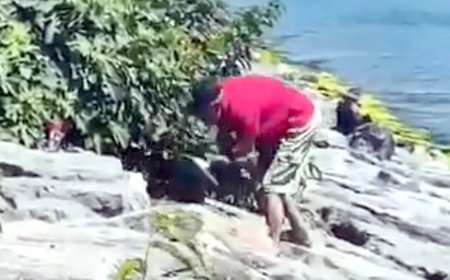 Avcılar Sahili’nde köpeğe şiddet kamerada