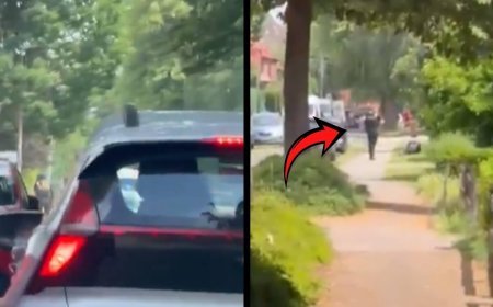 SON DAKİKA ALMANYA HABERLERİ: Almanya'da silahlı saldırı! Can kayıpları var