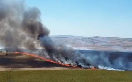 Tekirdağ'da yangında 300 dekar tarım alanı zarar gördü