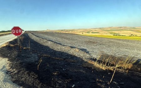 Tekirdağ'da yangında 350 dönüm buğday ekili alan zarar gördü