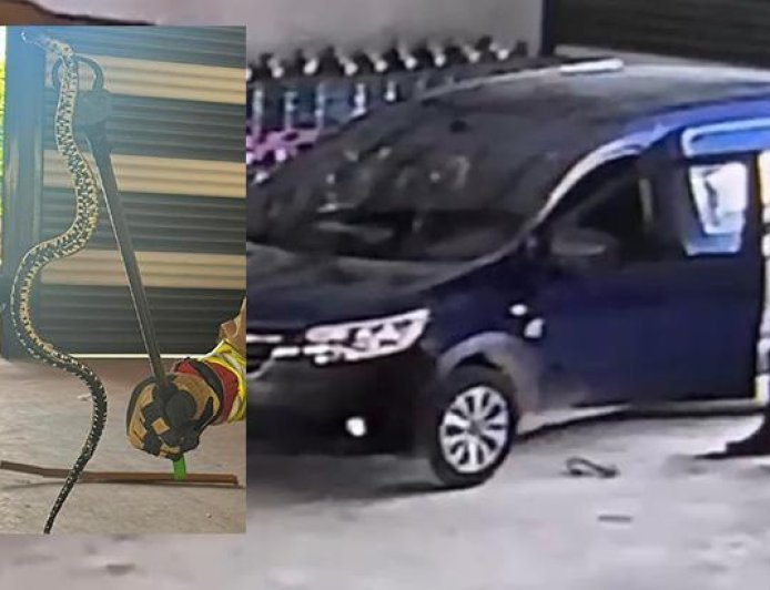 Yer: Hatay! Hafif ticari araca giren yılan paniğe neden oldu