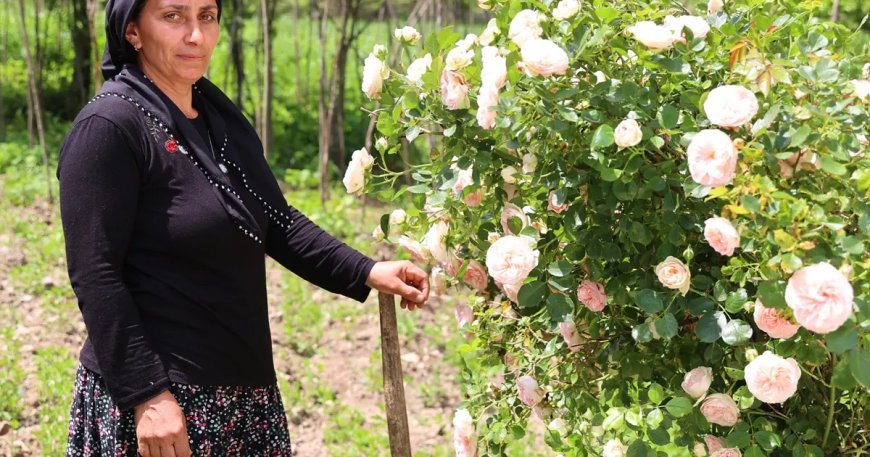 Muhtarın vefatının ardından görevi eşi devraldı; kadınların desteğiyle seçimi kazandı