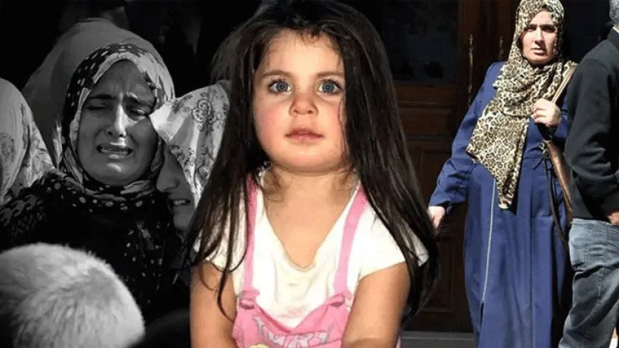 Türkiye'nin yüreğini yakmıştı! Amcası tutuklanan Leyla Aydemir'in annesi ifade verecek