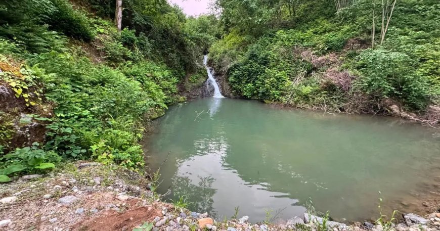 Artvin'de imam ve müezzin girdikleri gölette boğuldu
