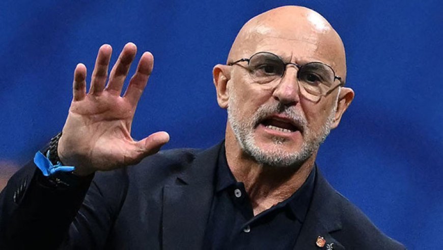 Luis de la Fuente: 'Daha dikey bir oyuna hemfikirdik!'