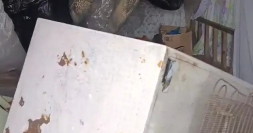 Bir günde 20 eve girdi, yayla sakinlerini canından bezdirdi