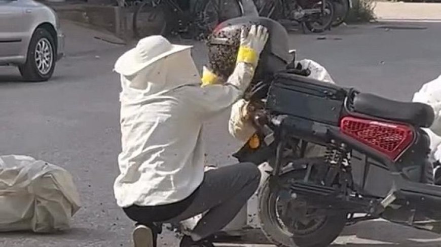 Motosikleti görenler gözlerine inanamadı! Yolun ortasında arıların istilasına uğradı