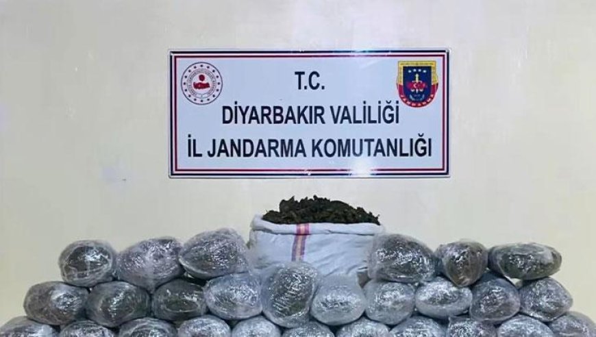 Diyarbakır'da dev uyuşturucu operasyonu! Çok sayıda gözaltı var