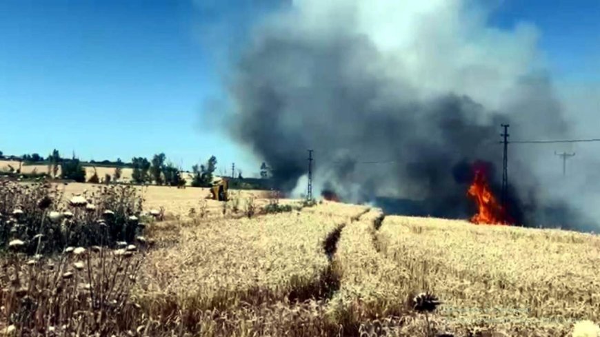Tekirdağ'da 50 dekar ekili buğday yandı