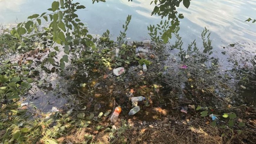 Adana'nın kalbindeki görüntü tepki çekti! Turistler gördüklerine inanamadı