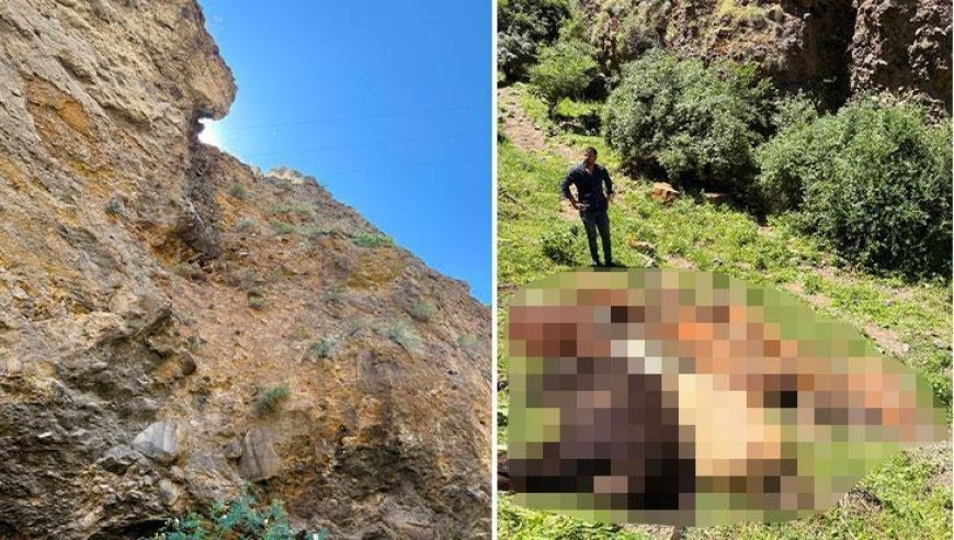 Tek saldırı, 26 telef! Yabani hayvanı görünce kayalıklardan atladılar