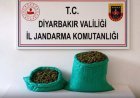 18 ilde zehir tacirlerine darbe: 80 gözaltı